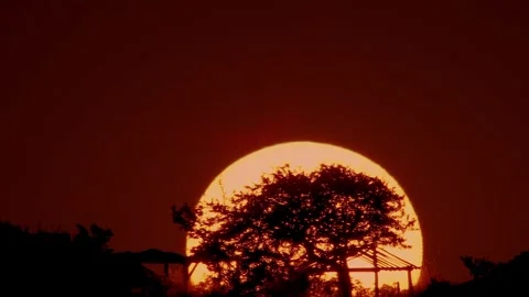 Sunset in a countryside Stock Footage 246455288