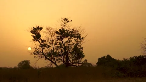 Sunset in the countryside, Guinea Stock Footage 165998126