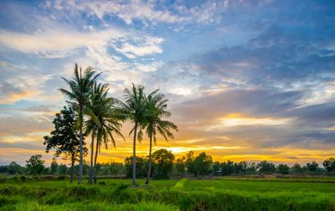 Sunset in the countryside Stock Photos