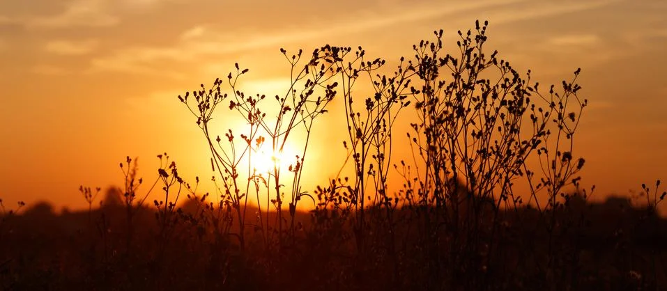 Sunset in countryside Stock Photos