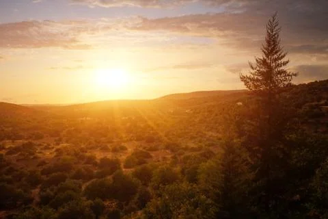 Sunset Countryside Stock Photos