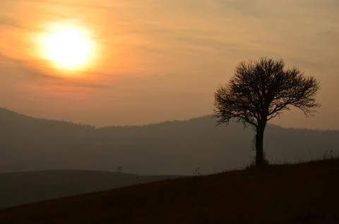Sunset at the countryside Stock Photos