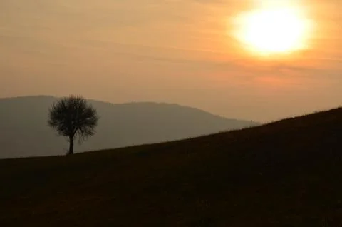 Sunset at the countryside Stock Photos