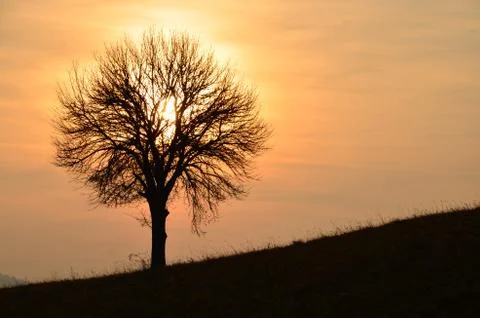 Sunset at the countryside Stock Photos