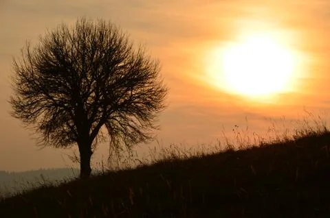 Sunset at the countryside Stock Photos