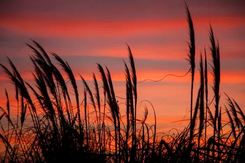 Sunset in the countryside Stock Photos