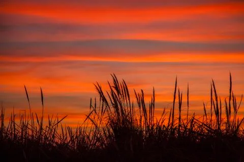Sunset in the countryside Stock Photos