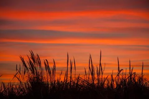 Sunset in the countryside Stock Photos