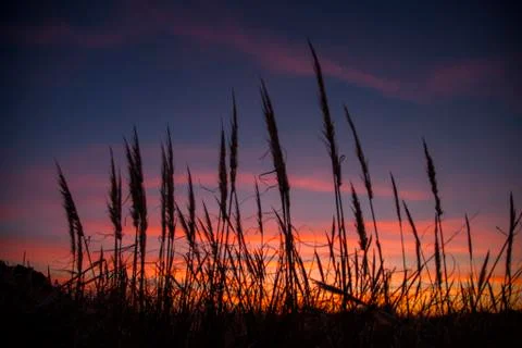 Sunset in the countryside Stock Photos