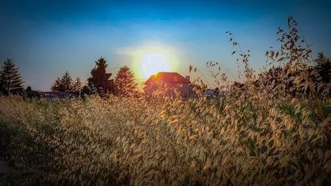 A sunset in the countryside Stock Photos