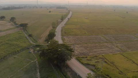 Sunset at countryside road Video stock 88647971
