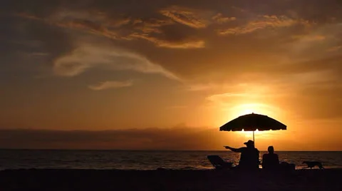 Sunset Couple with Dogs at Beach Stock Footage 23533678