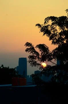 Sunset covered by trees in the city Foto stock