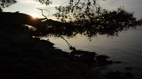 Sunset on Croatian coast with tree and lens flare Vídeo Stock 42363032