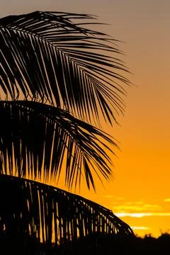 Sunset in Cuba (portrait) Stock Photos