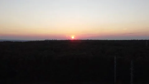 Sunset in the dark forest Stock Footage 142017078