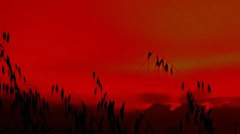 Sunset in the dark Stock Photos