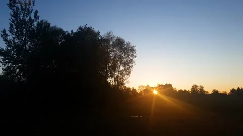 Sunset, dawn on the horizon of a dense forest. An orange ray of sunlight horizon Stock Footage 346643547