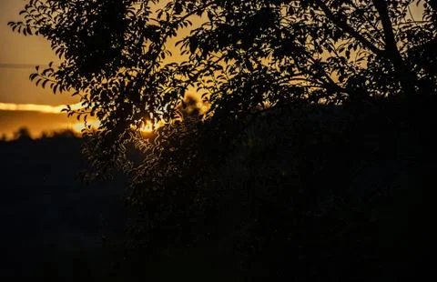 Sunset, dawn, rays and silhouette trees, colored sky 스톡 사진