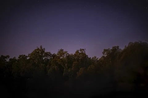 Sunset Day Transition to Night Forest Timelapse 6k Stock Footage 181696040