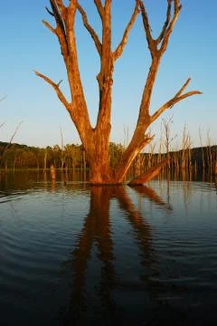 Sunset On The Dead lake Stock-Fotos