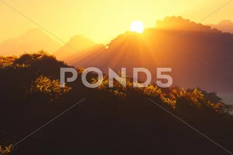 Sunset in the Deep Jungle 2 Stock Illustration