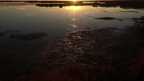 Sunset in Delta del ebre, Tarragona Video stock 101224904