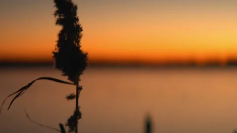 Sunset, Denmark, Nature, Dusk Stock Footage 304652263