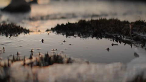 Sunset, Denmark, Nature, Dusk Stock Footage 304652264