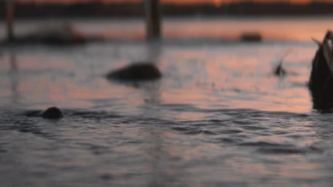 Sunset, Denmark, Nature, Dusk Stock Footage 304781277