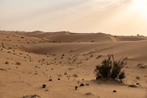 Sunset in the desert of Abu Dhabi Stock Photos
