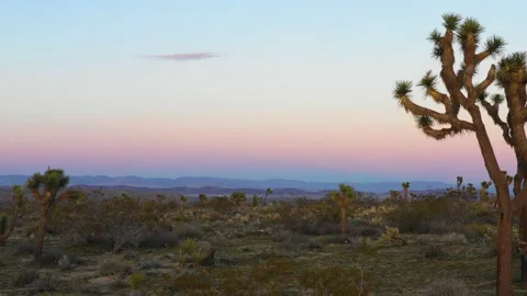 Sunset in the Desert - Cinematic Drone Stock Footage