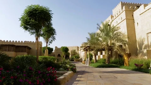 Sunset in the desert Stock Footage 70142066