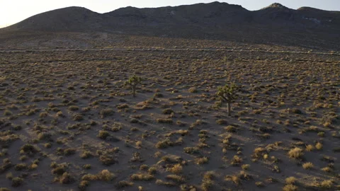 Sunset in the desert with a lone car driving by. Video stock 155201433