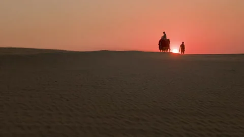 Sunset In The Desert. Man Leads Two Camels. Man Is Sitting On One Of Them. Stock Footage 153750786