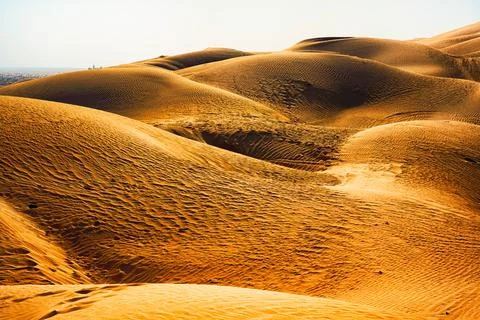 Before sunset in the desert, nice Oman. Stock Photos