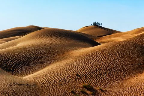 Before sunset in the desert, nice Oman. Stock Photos