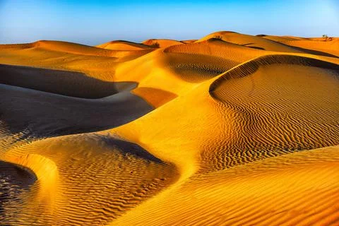 Before sunset in the desert, nice Oman. Stock Photos