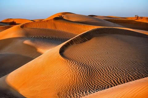 Before sunset in the desert, nice Oman. Stock Photos