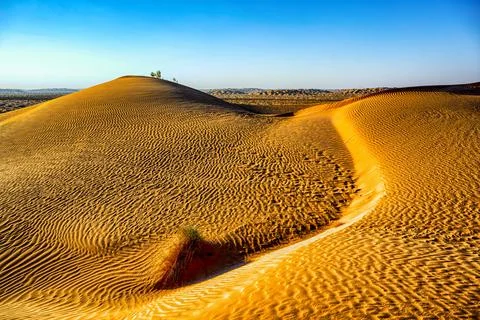 Before sunset in the desert, nice Oman. Foto stock