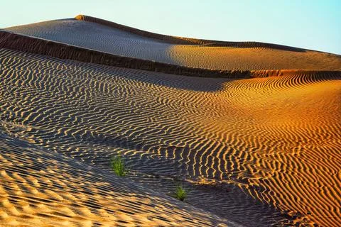 Before sunset in the desert, nice Oman. Stock Photos