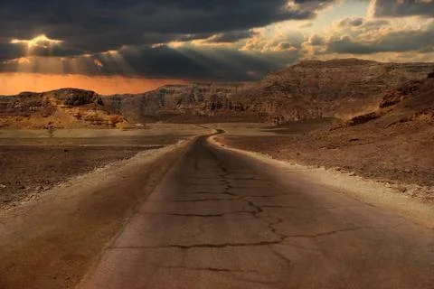 Sunset in desert. Stock Photos