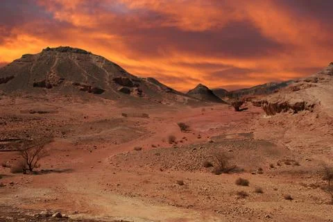 Sunset in desert. Stock Photos