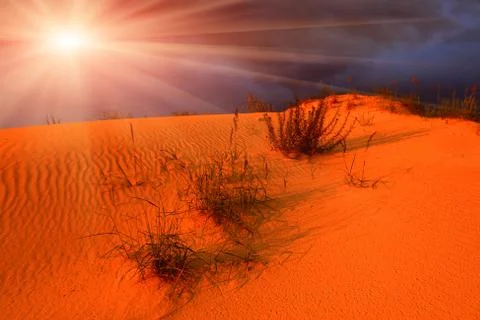 Sunset in desert Stock Photos