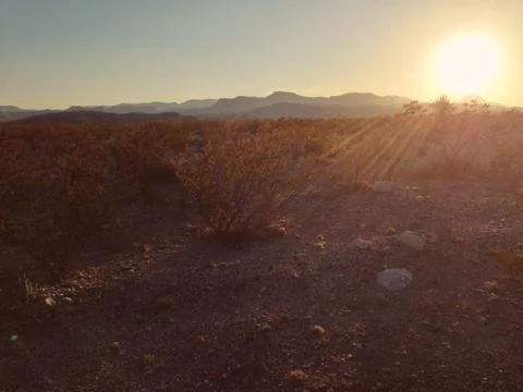 Sunset in desert Stock Photos