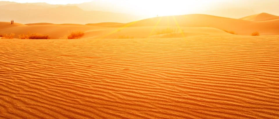 Sunset in desert Stock Photos