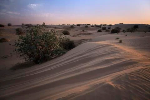Sunset in the desert. Stock Photos