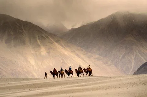 Sunset at desert Stock Photos