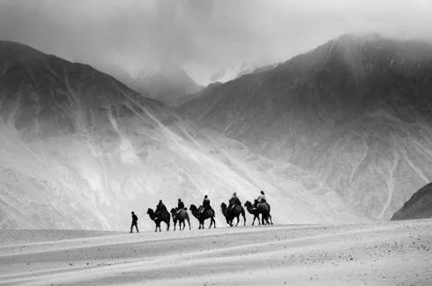 Sunset at desert Stock Photos