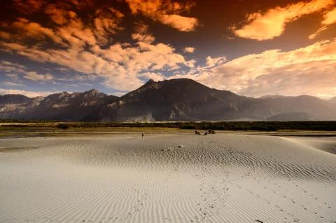 Sunset at desert Foto stock